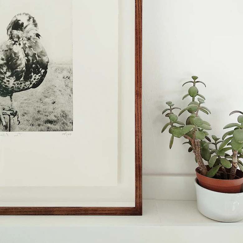 framed image of a bird floating in slimline oak frame stained mid oak colour